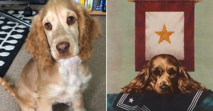 Your pet is a work of art